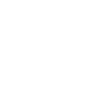 Flutter illustrator