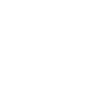 Illustrator illustrator