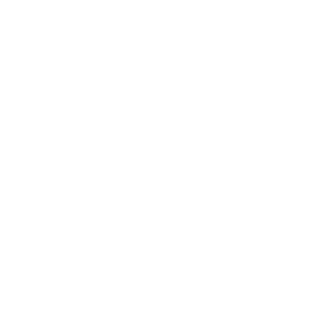 Shopify illustrator