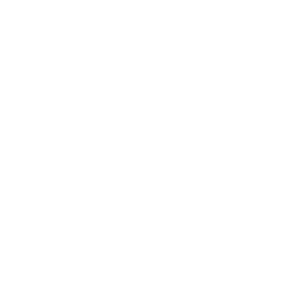 WordPress illustrator