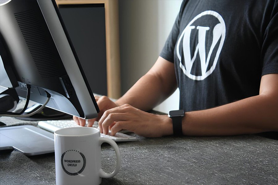 wordpress-development wordpress-development